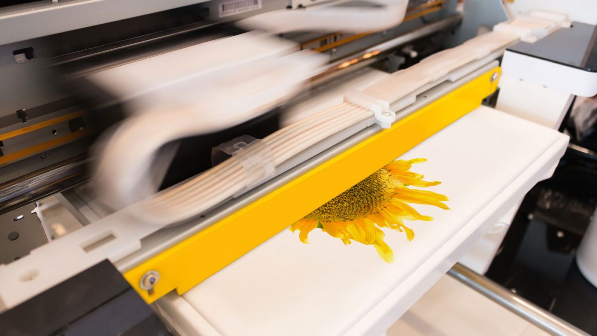 Can you print on mugs?